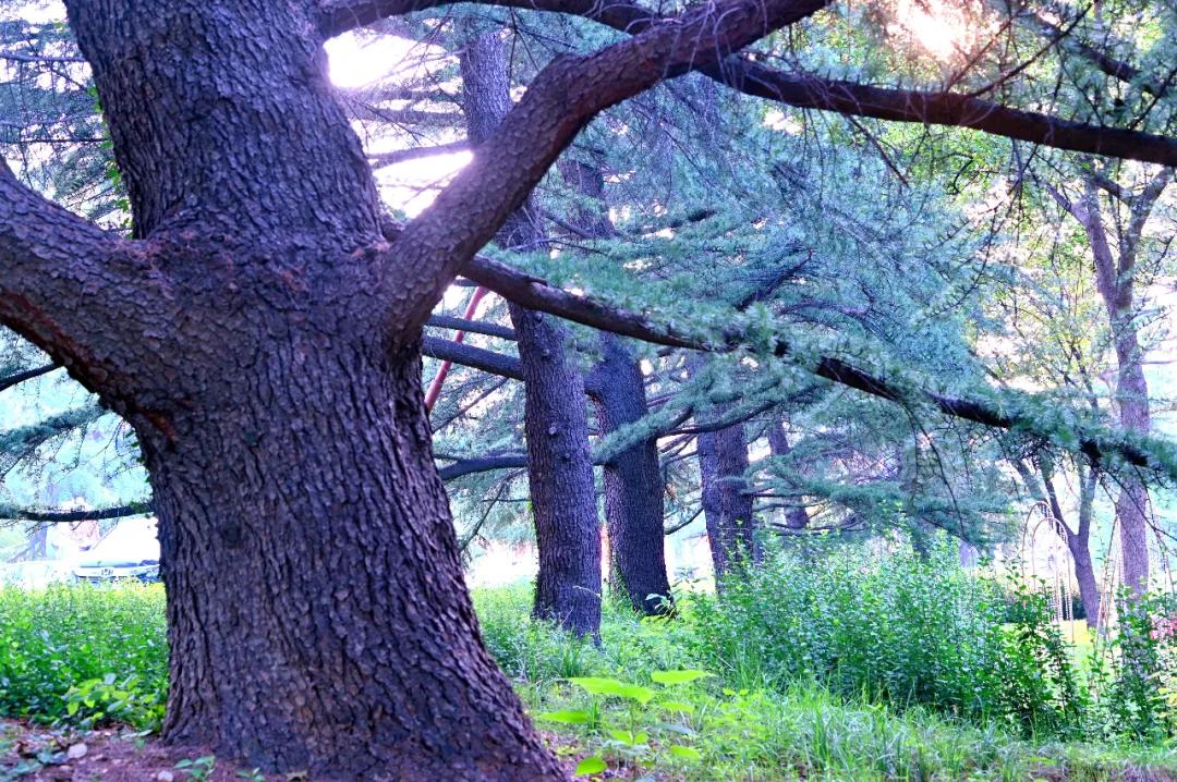 01564d80087627d61ca5ab365ac364fc.jpg 10_ABC看图.jpg