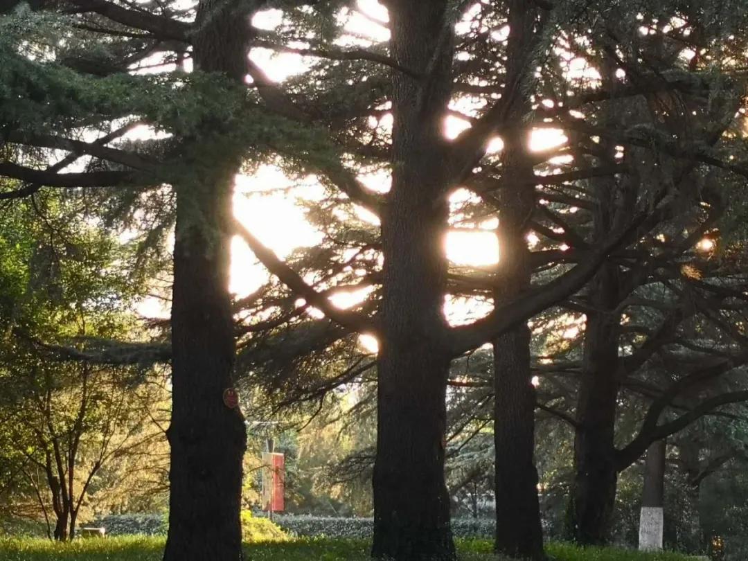 84c32b1f872e4b2e89766861b6d55421.jpg 12_ABC看图.jpg