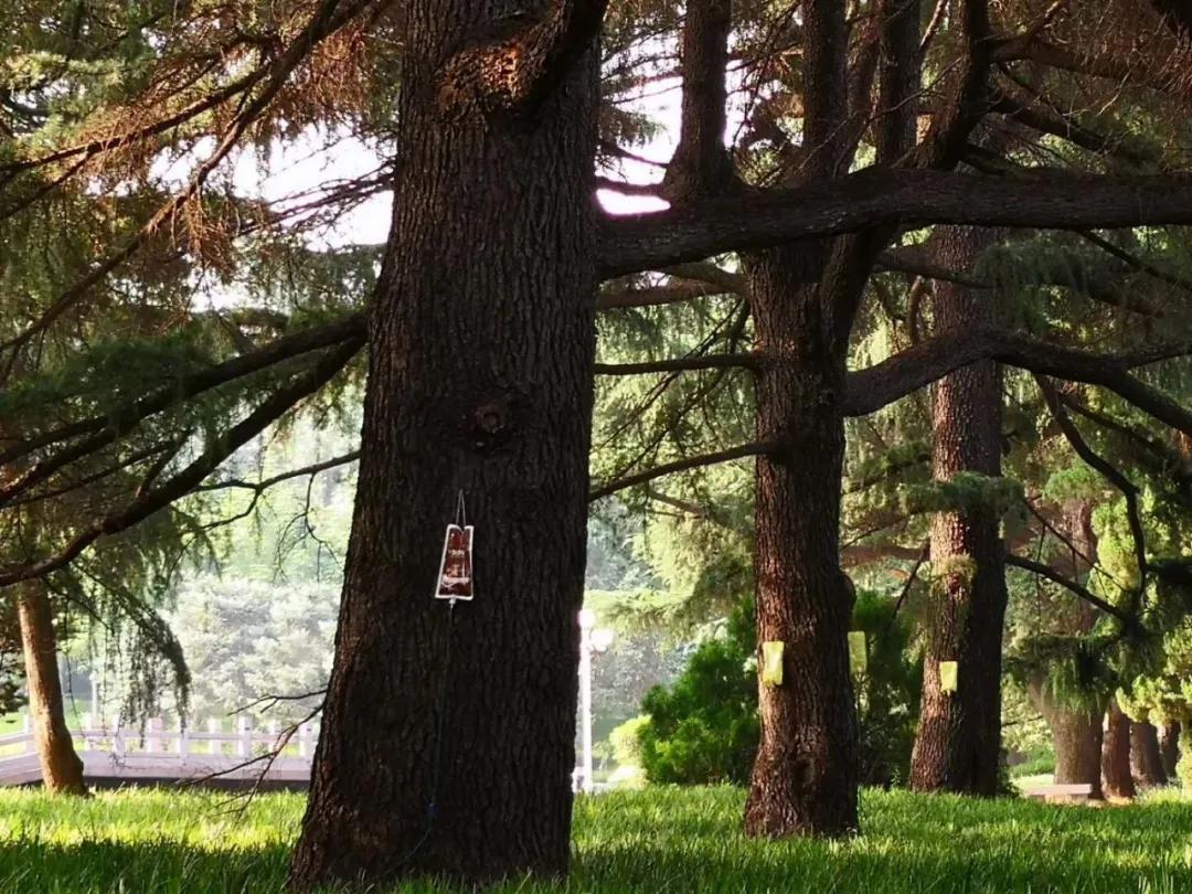 b10ab774d48932b474b65040a2c577ec.jpg 11_ABC看图.jpg