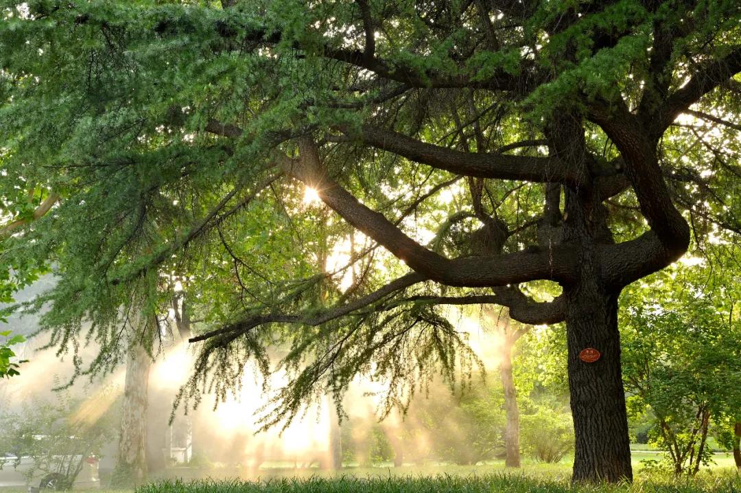 ca017caf858c9cd0505dbc78a317b8c3.jpg 2_ABC看图.jpg