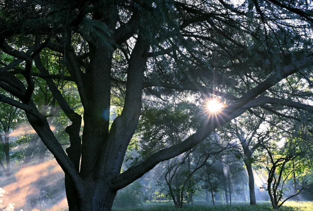 d4badacb191e269206ed4d1d19e36b9b.jpg 6_ABC看图.jpg