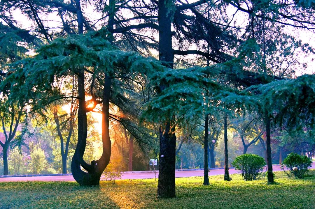 e56bd3cbc20fe5e4704521909a3d9cfd.jpg 5_ABC看图.jpg